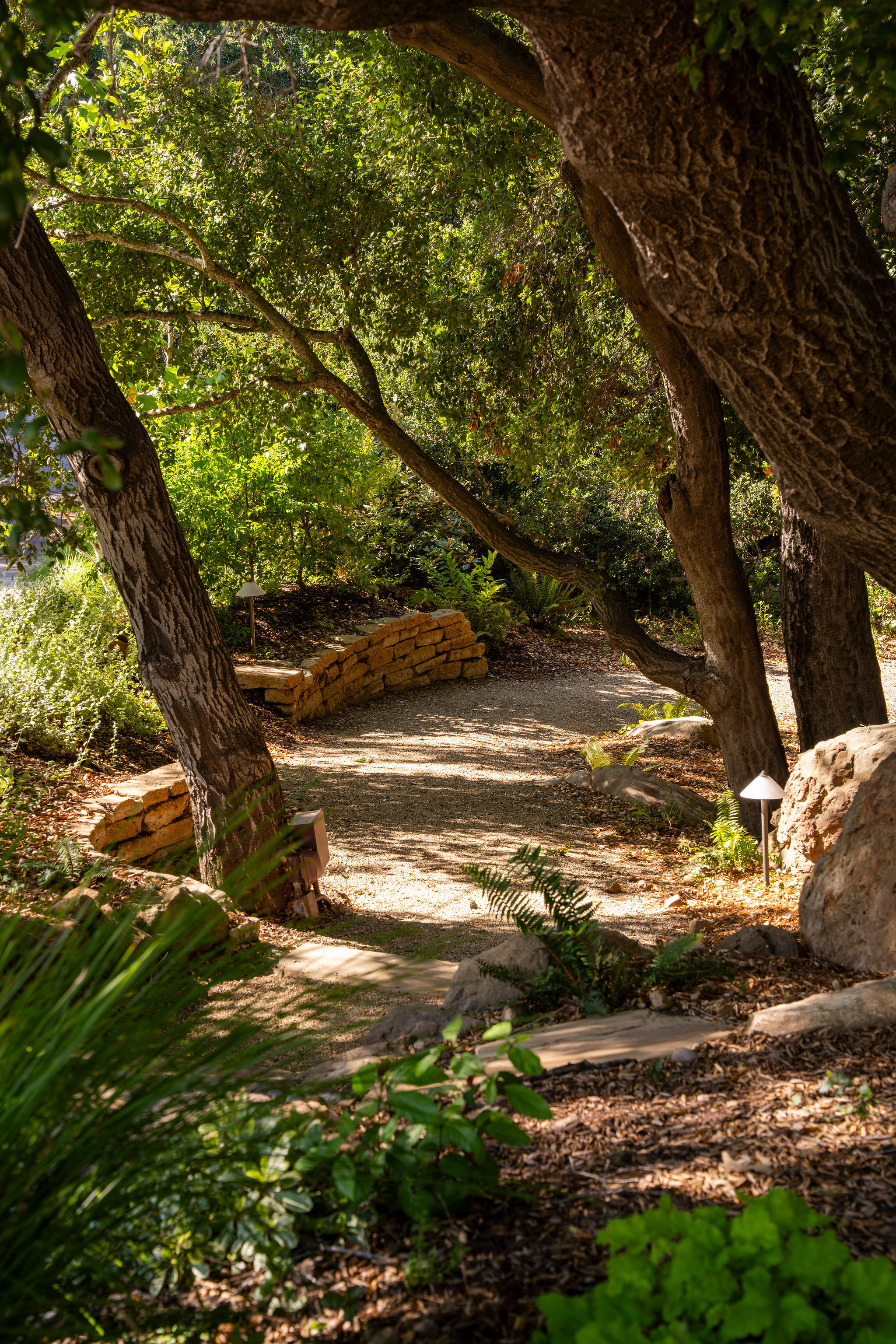 560 Cold Canyon Road Calabasas, CA 91302 - Photo 83 of 84 a view of dirt yard with a large tree
