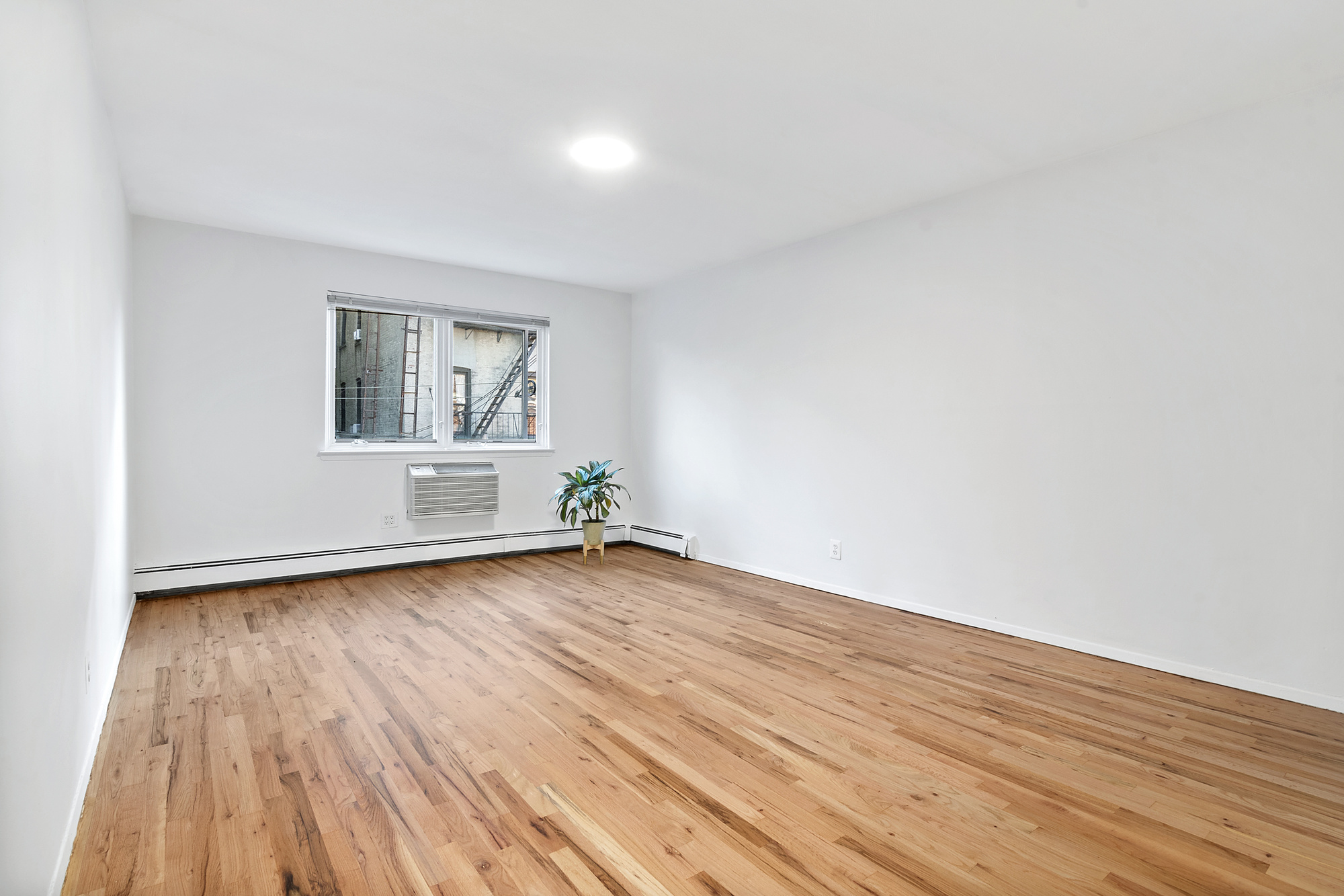 136 Java Street, Unit 3 Brooklyn, NY 11222 - Photo 6 of 11 a view of wooden floor and windows in a room