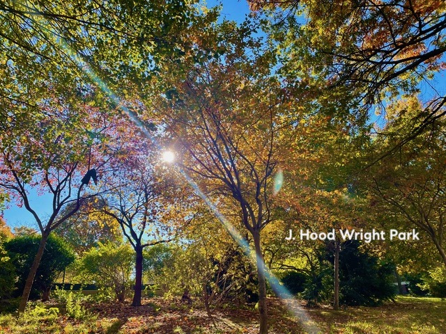 720 West 173rd Street, Unit 59 Manhattan, NY 10032 - Photo 9 of 11