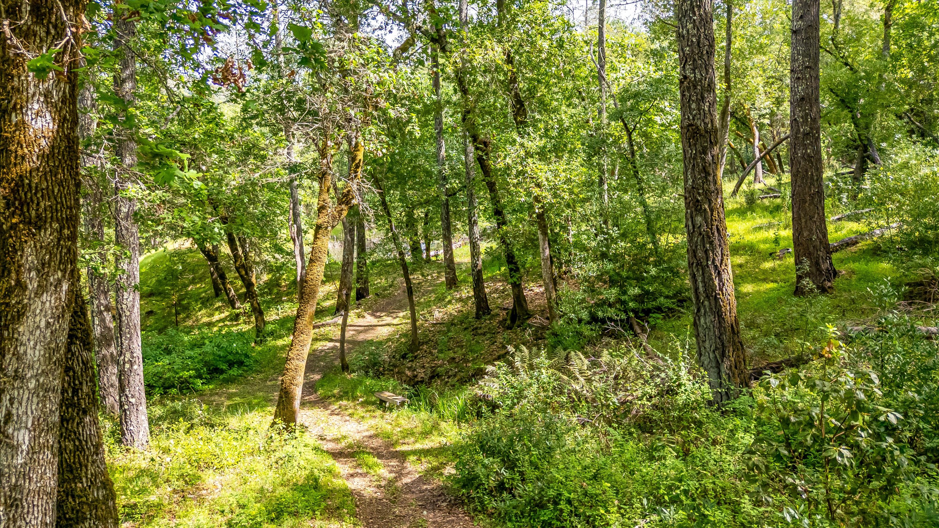 6435 Dry Creek Road Napa, CA 94558 - Photo 28 of 34