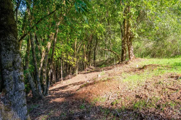 $125,000 | 10608 Canyon Road, Forestville, CA 95436