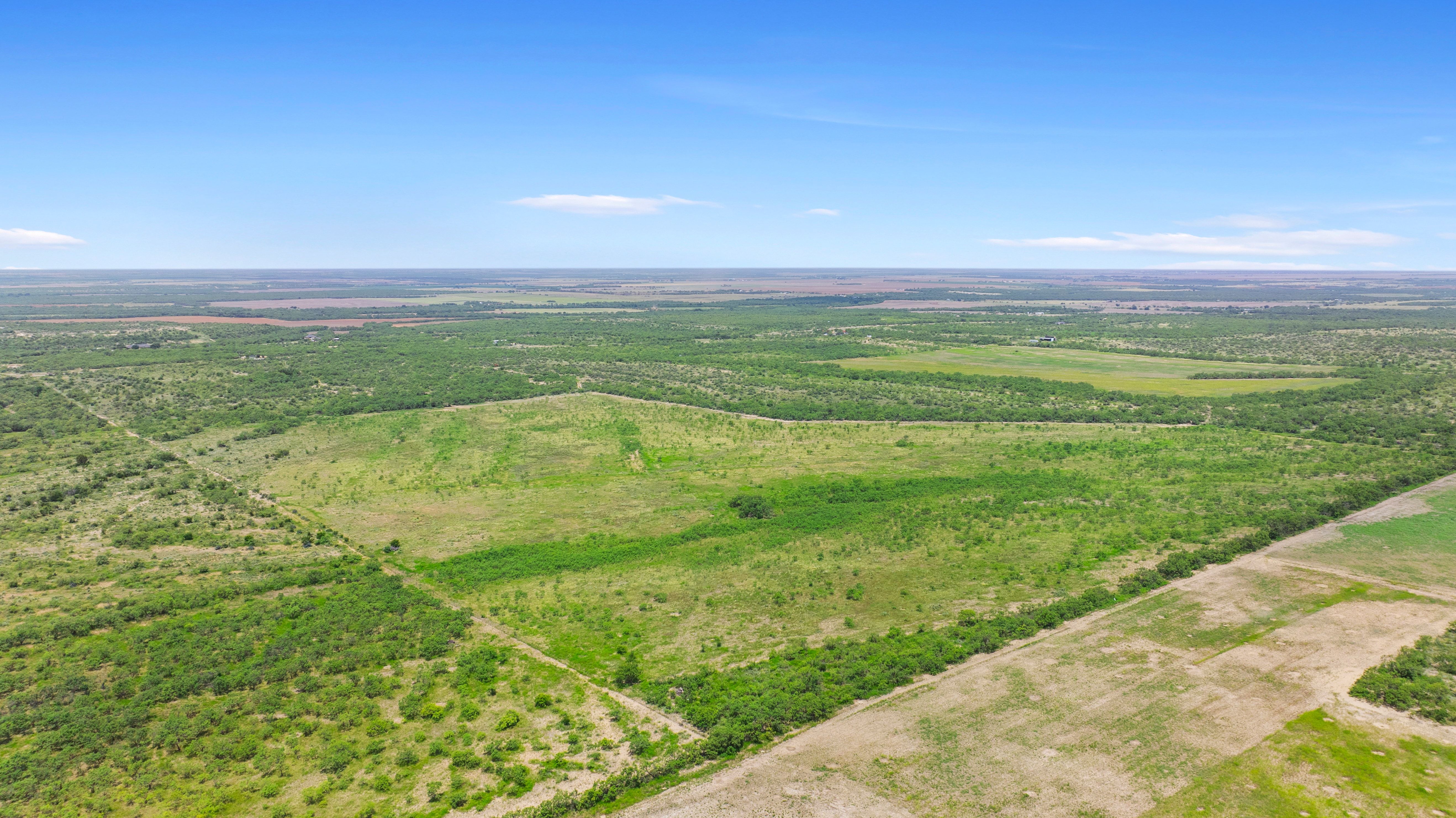 0 Fm 2647 Ballinger, TX 76821 - Photo 4 of 17 Gallery Image 4