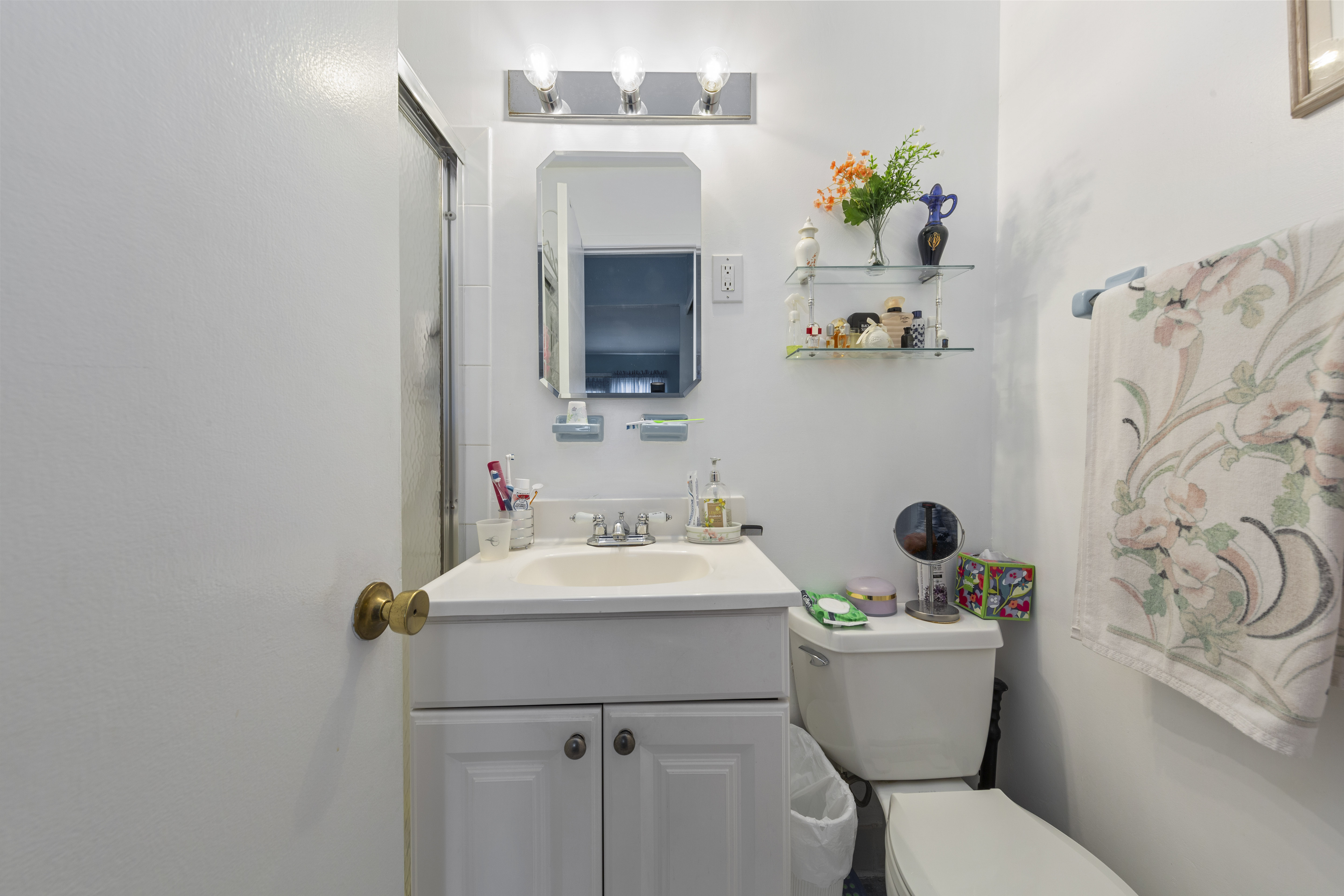 240-47 68th Avenue Queens, NY 11362 - Photo 31 of 39 a bathroom with a sink toilet and mirror
