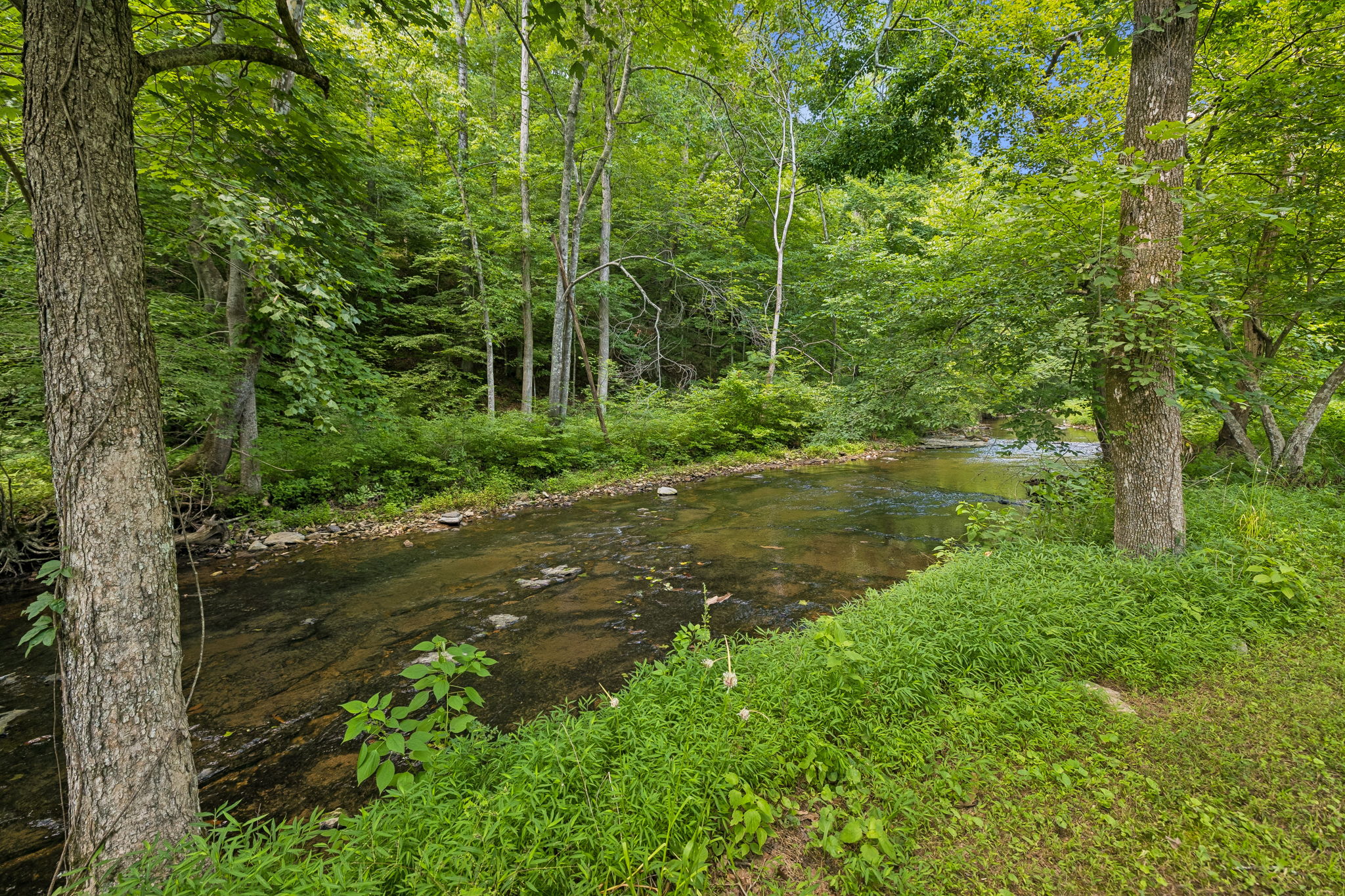 8188 Shoals Branch Road Primm Springs, TN 38476 - Photo 48 of 66