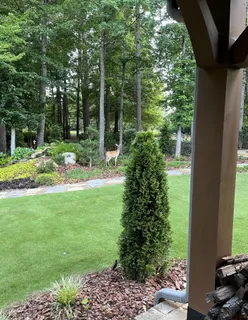 $2,299,000 | 2768 Grey Moss Pass, Duluth, GA 30097