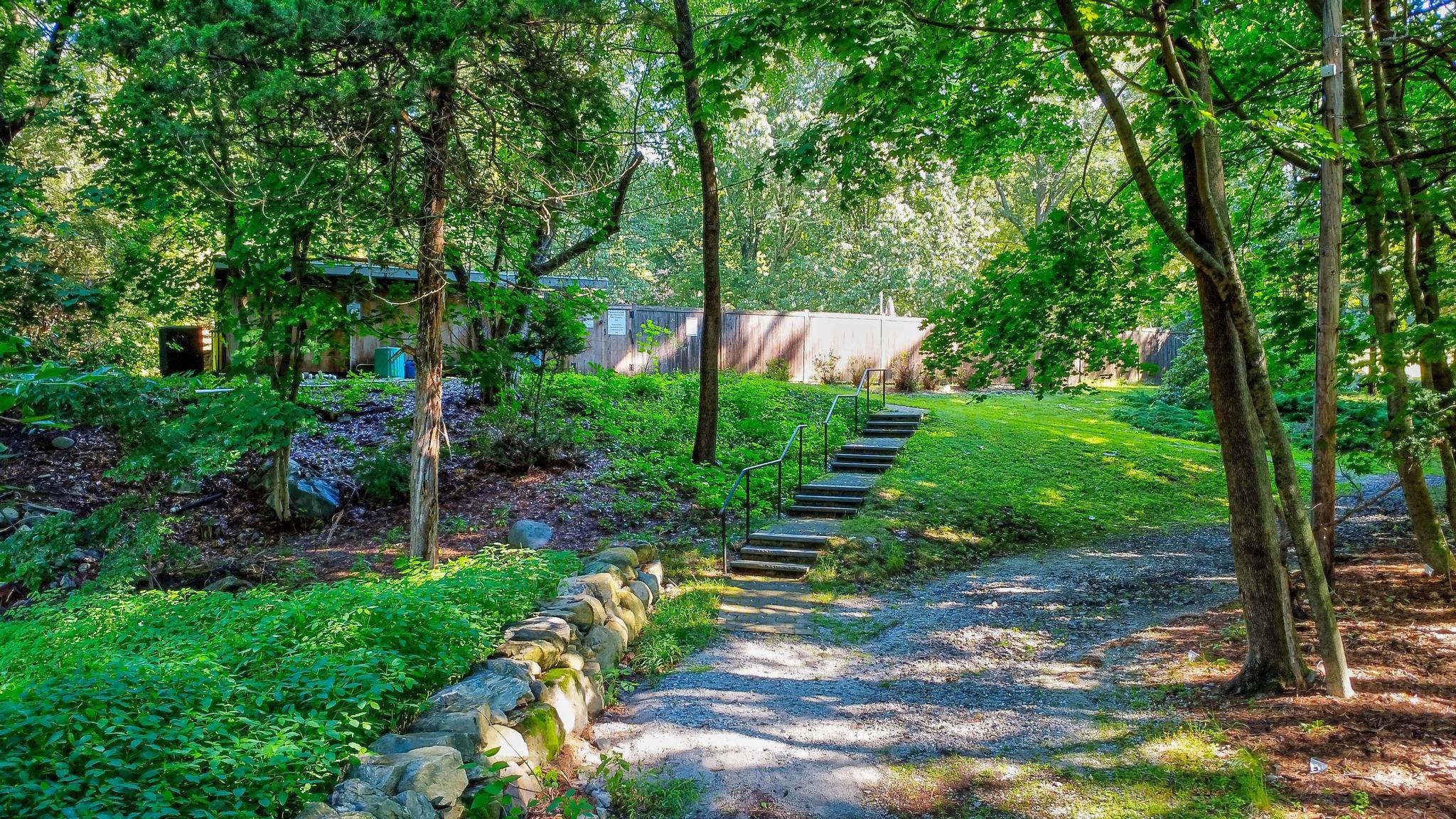 14 Barberry Road Lexington, MA 02421 - Photo 22 of 30 a view of backyard with green space