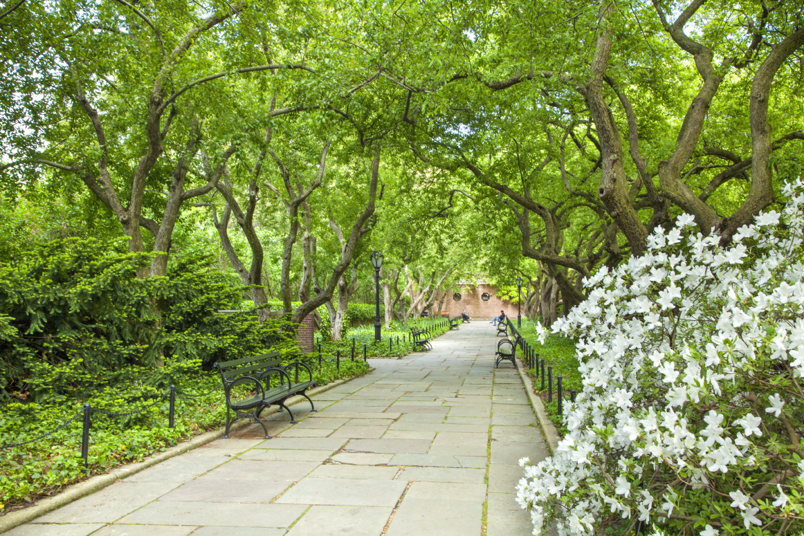 319 East 105th Street, Unit 5A Manhattan, NY 10029 - Photo 9 of 13 a view of a pathway both side of yard