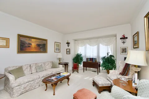 a living room with furniture or couch and a potted plant