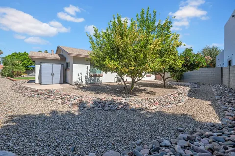 a view of a yard with plants and trees