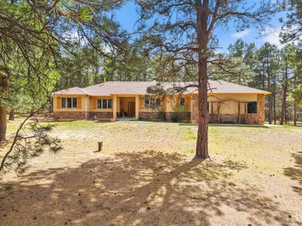 $1,200,000 | 4235 Slash Pine Drive, Colorado Springs, CO 80908