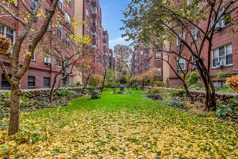 a view of a yard with plants and trees