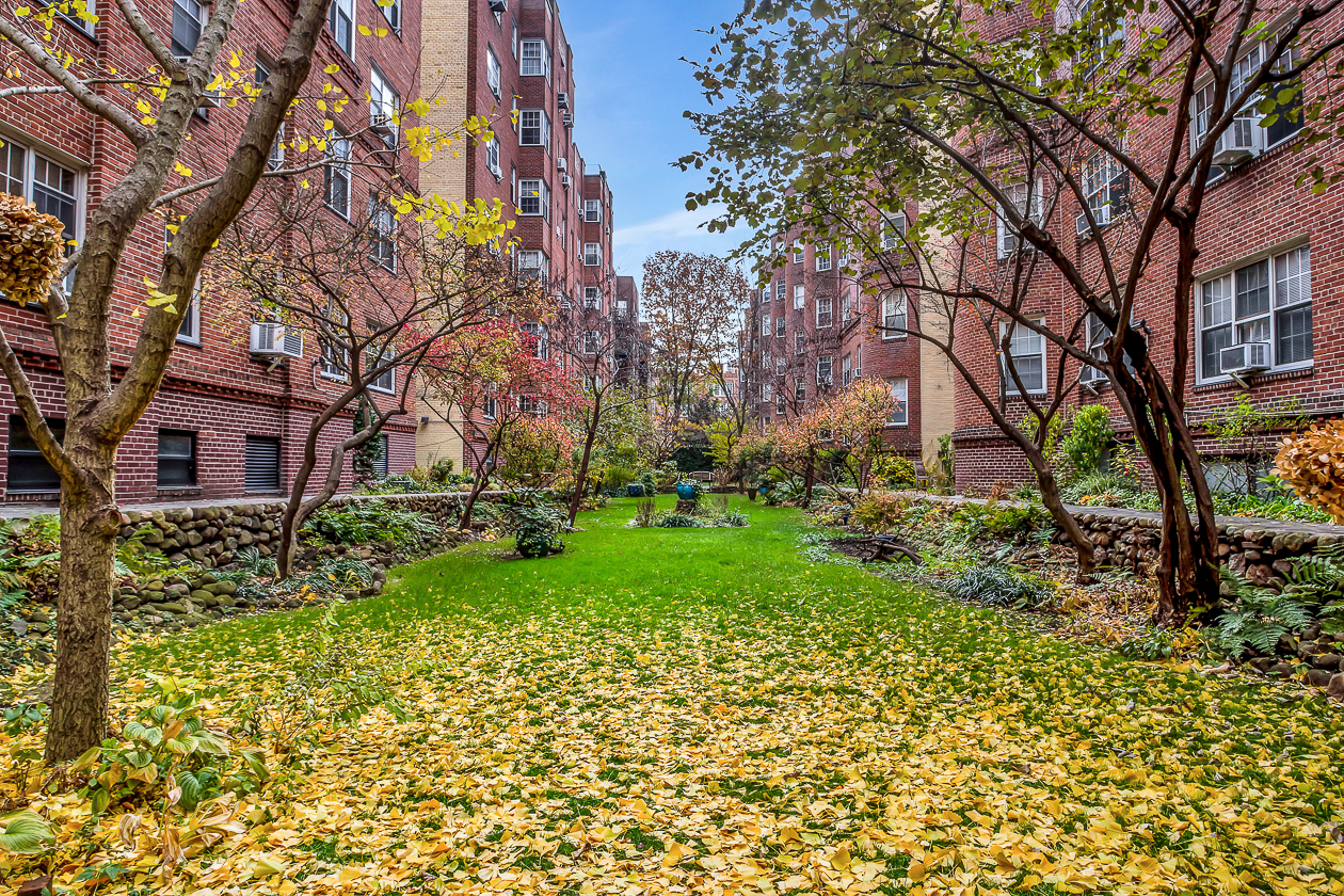 35-24 78th Street, Unit B51 Queens, NY 11372 - Photo 10 of 11 a view of a yard with plants and trees