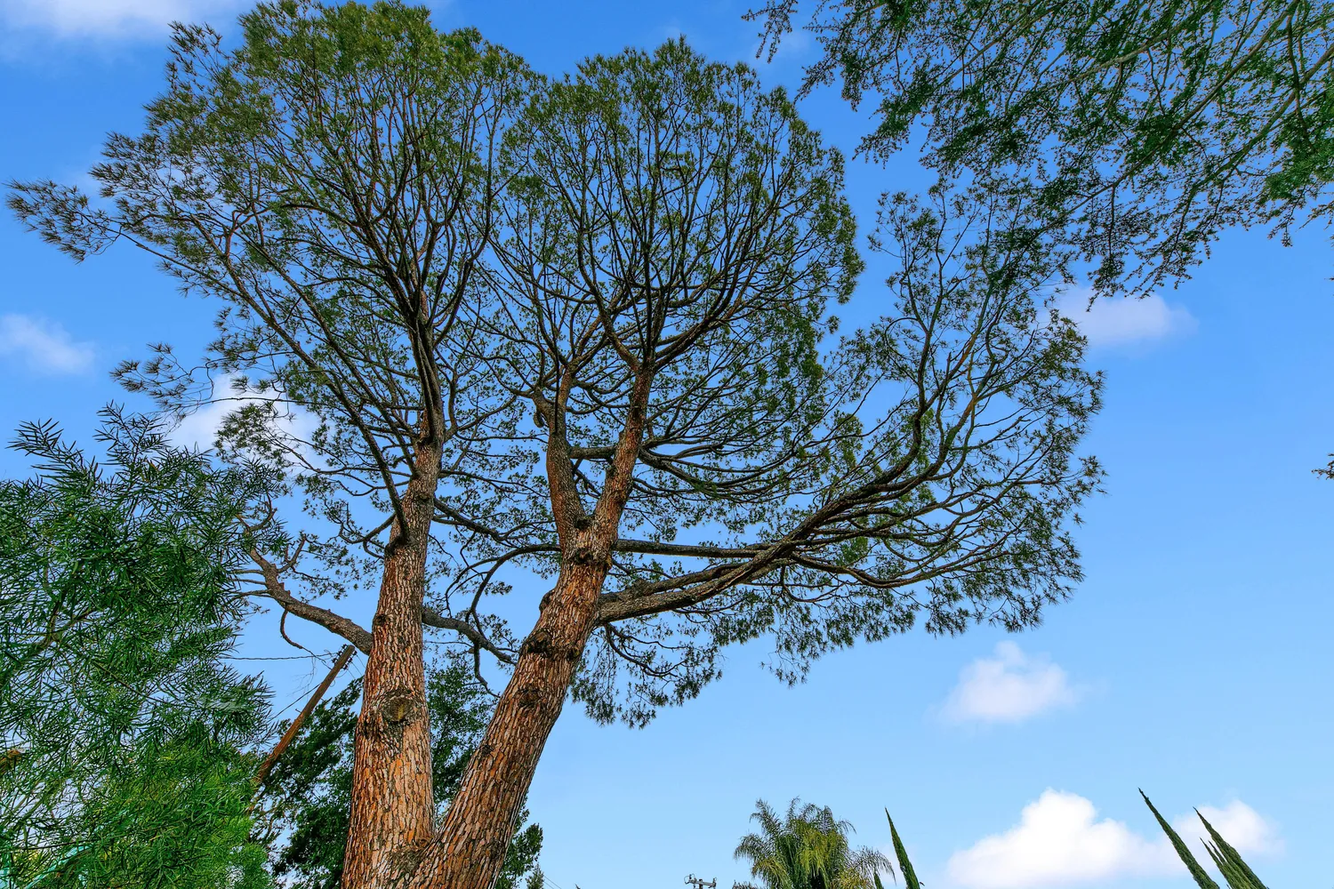 $1,100,000 | 17055 Gresham Street, Northridge, CA 91325