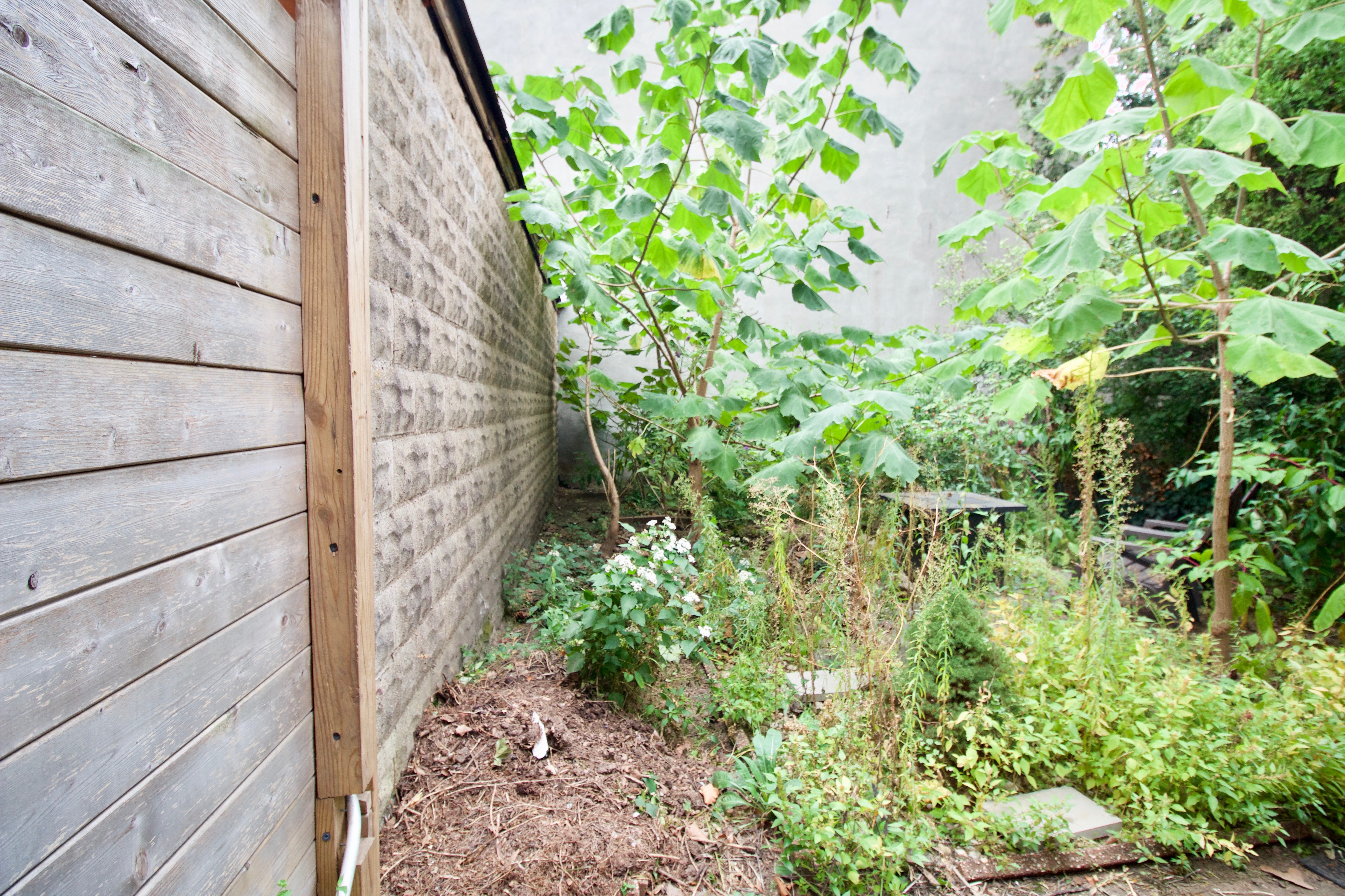 403 Caton Avenue, Unit 1 Brooklyn, NY 11218 - Photo 28 of 37 a backyard with plants