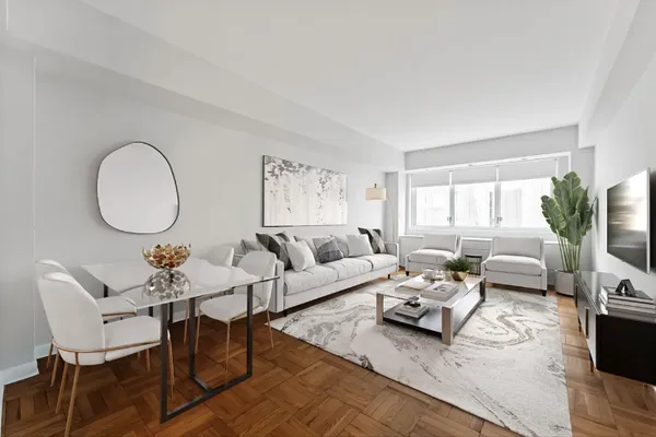 a living room with furniture a rug potted plant and a window