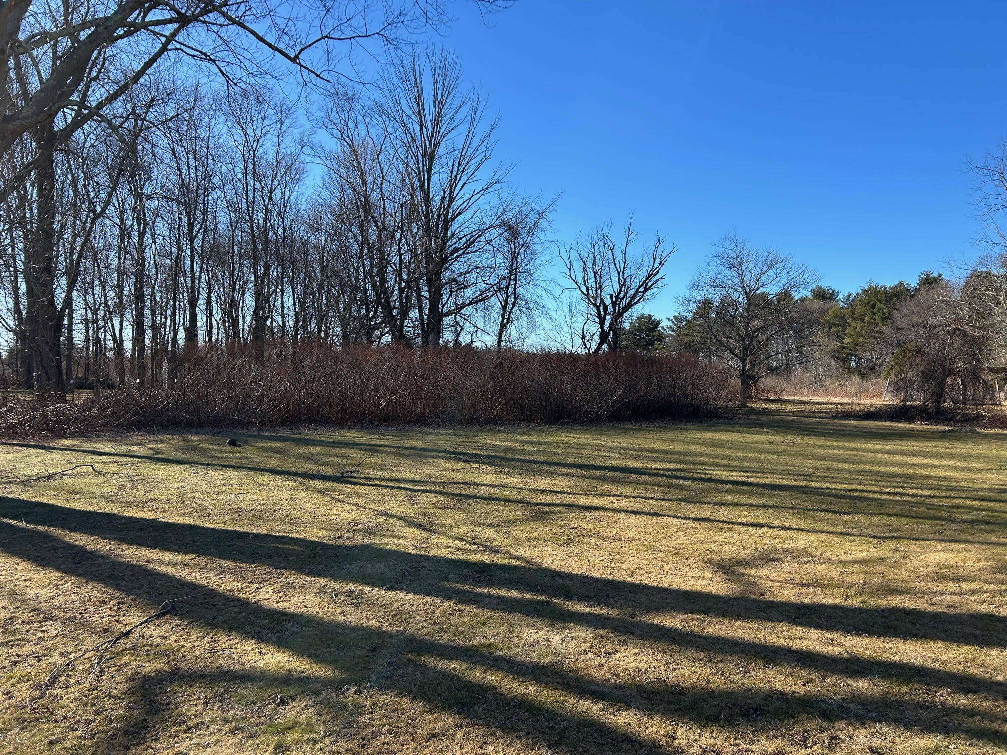 8 Washington Street Mendon, MA 01756 - Photo 2 of 19