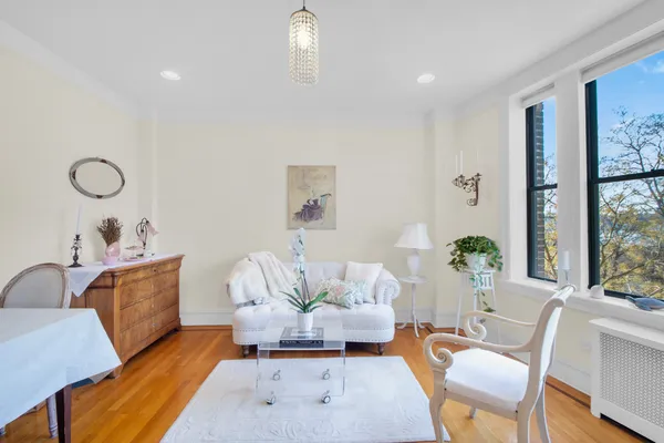 a living room with furniture potted plant and a large window