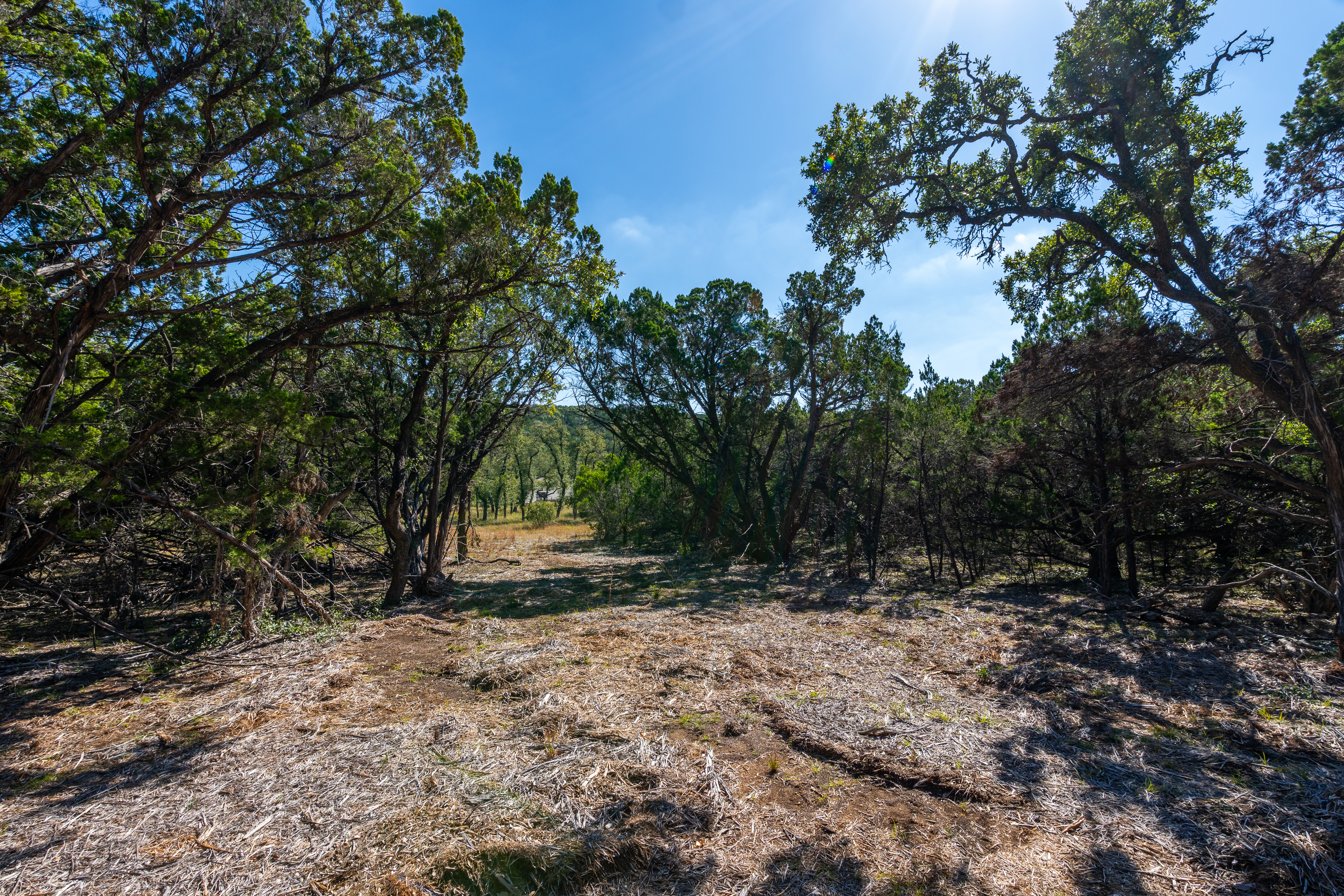 6022 Fm 32 Fischer, TX 78623 - Photo 7 of 15 a view of outdoor space with trees