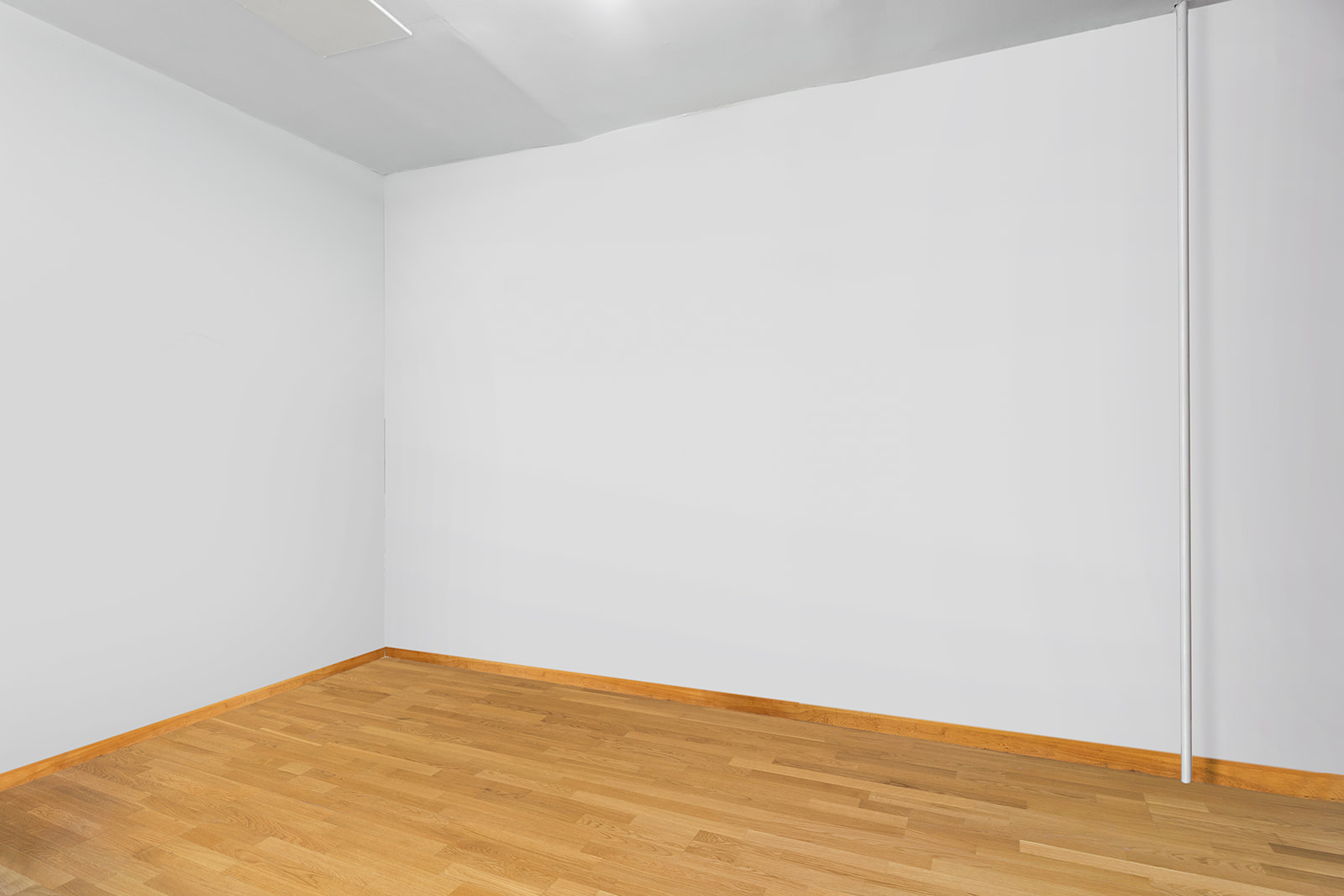 311 Cumberland Street, Unit 1 Brooklyn, NY 11238 - Photo 5 of 10