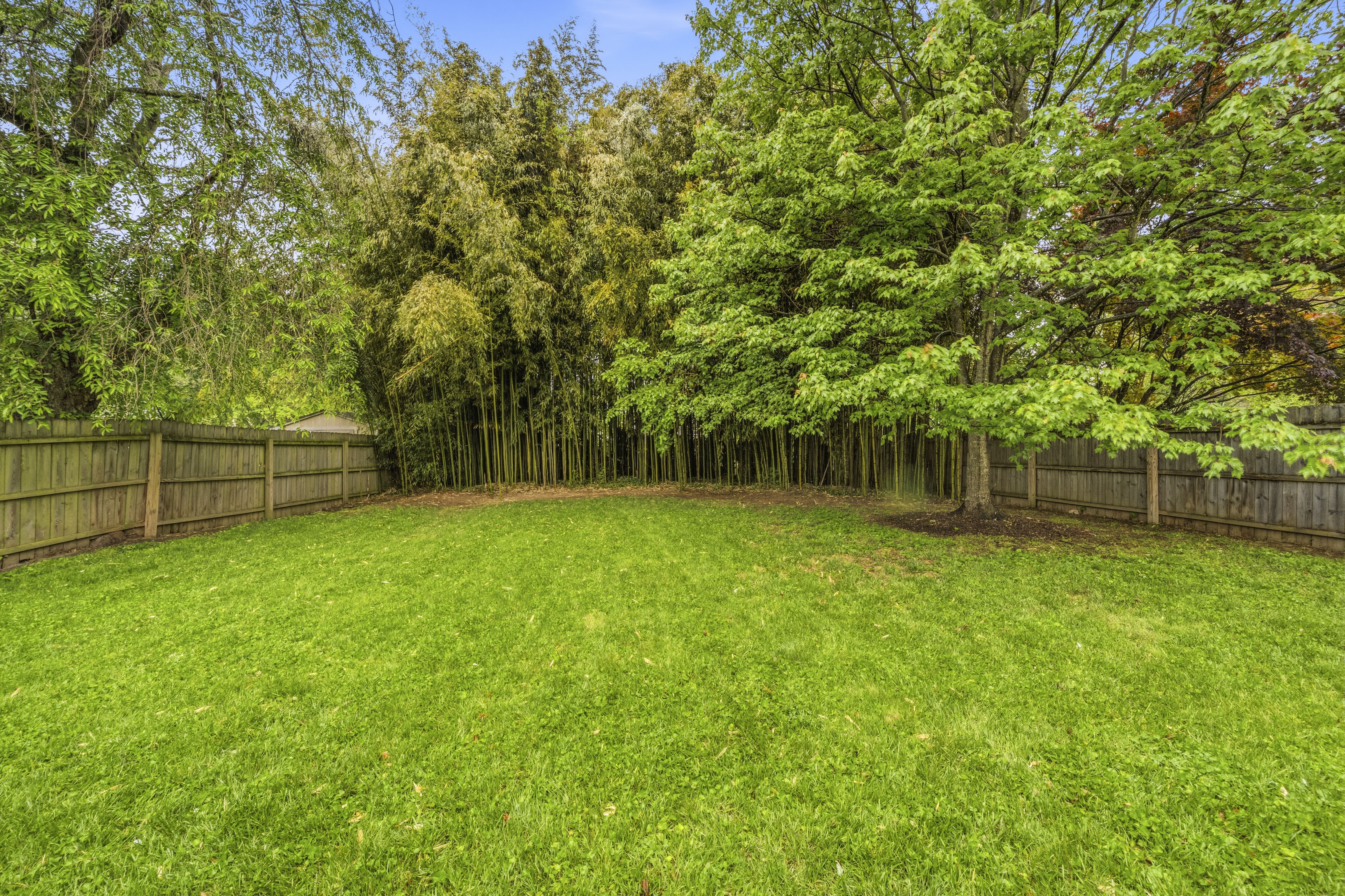 10212 Grant Avenue Silver Spring, MD 20910 - Photo 23 of 26