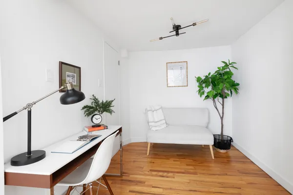 a living room with furniture and potted plant