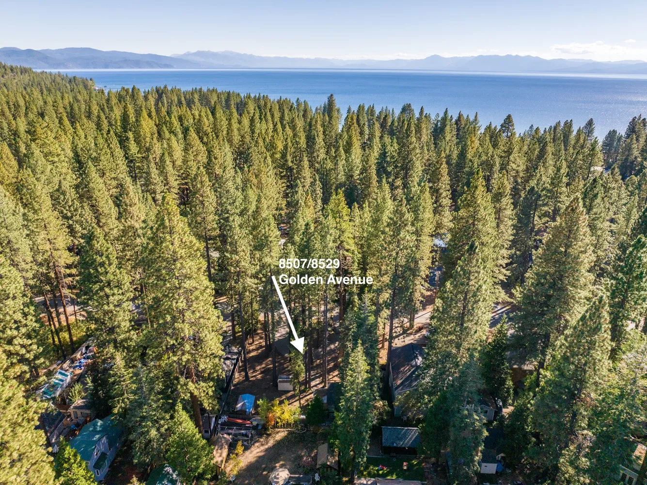 a view of a bunch of trees and buildings
