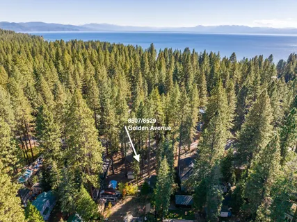 a view of a bunch of trees and buildings