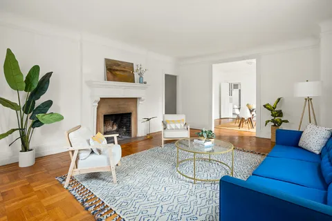 a living room with furniture a fireplace and a potted plant
