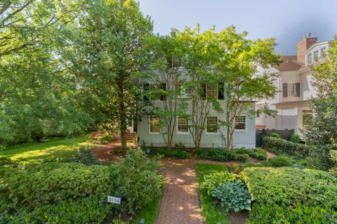 a view of backyard with plants and large trees