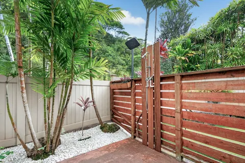 a view of a backyard with plants