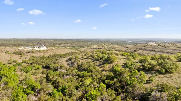 a view of a trees in a yard