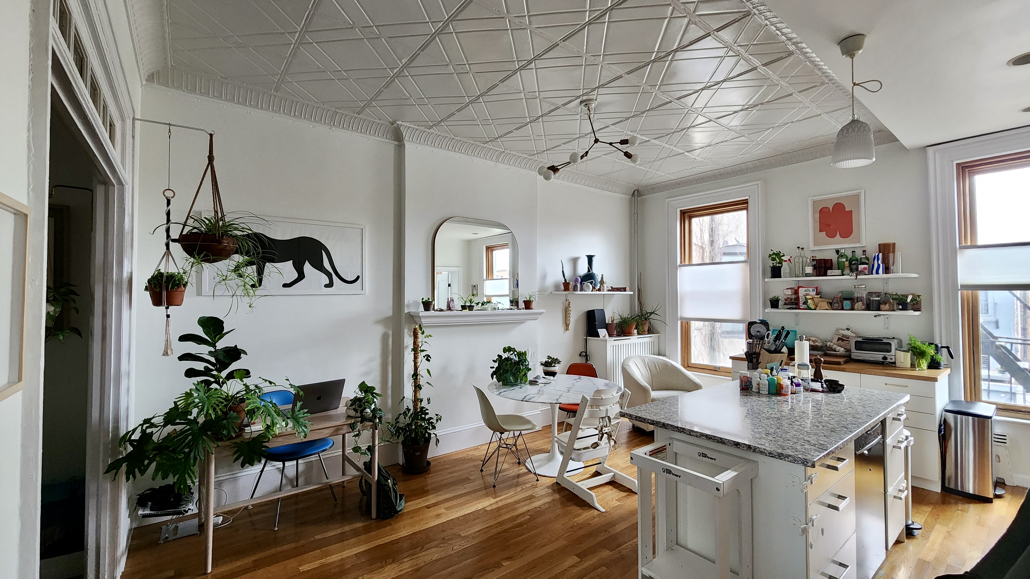 118 1st Place, Unit 2 Brooklyn, NY 11231 - Photo 1 of 12 a living room with lots of furniture and a potted plant