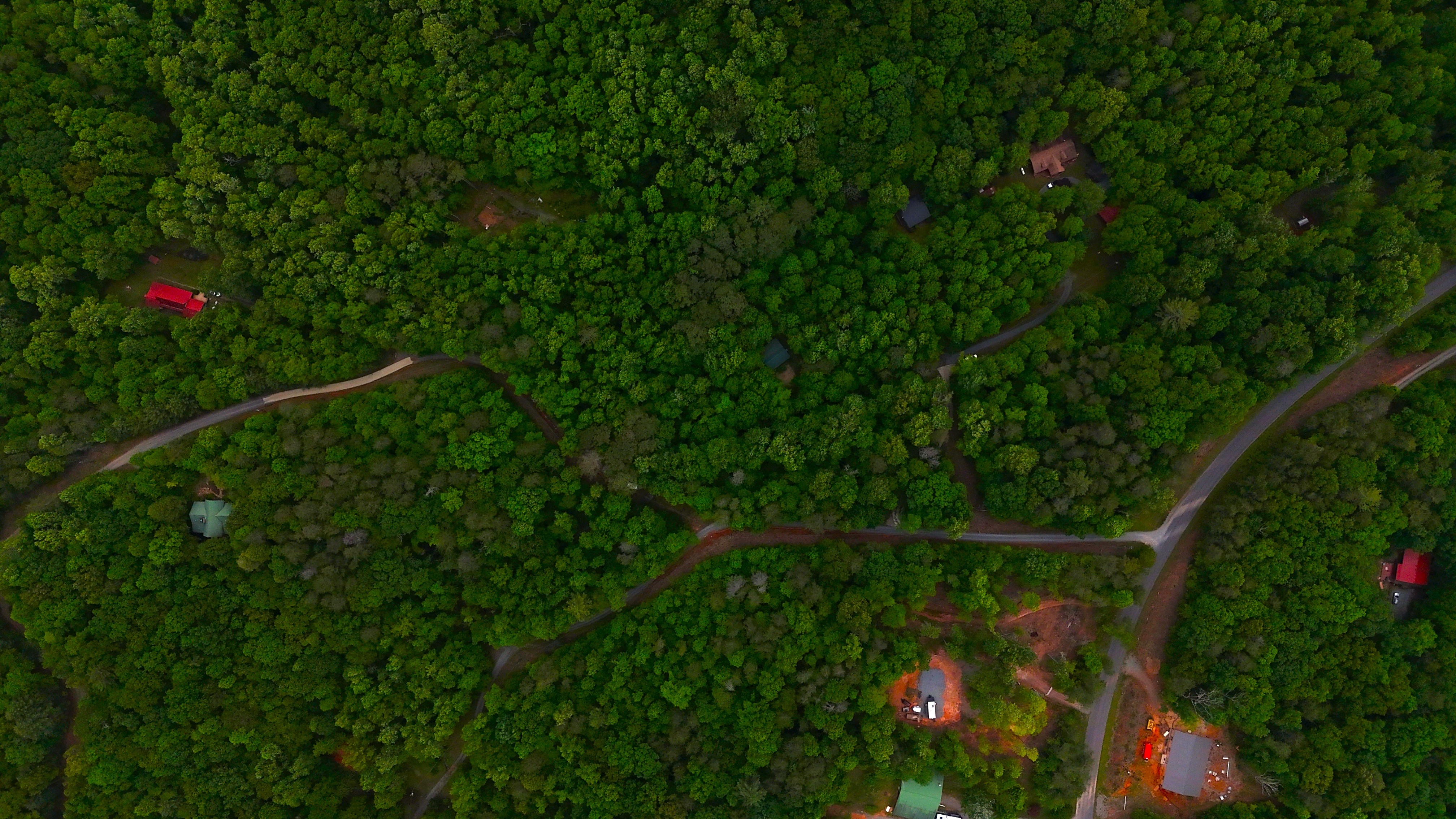 Nocona Trail Ellijay, GA 30536 - Photo 15 of 18 a backyard of a house with lots of green space and plants