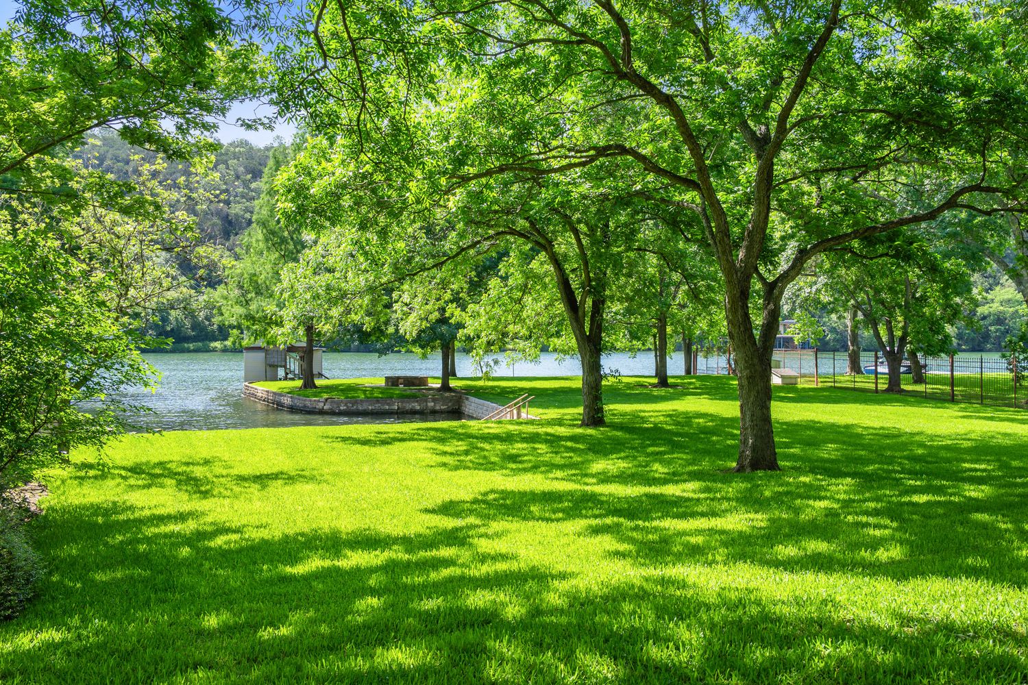 a view of park with trees