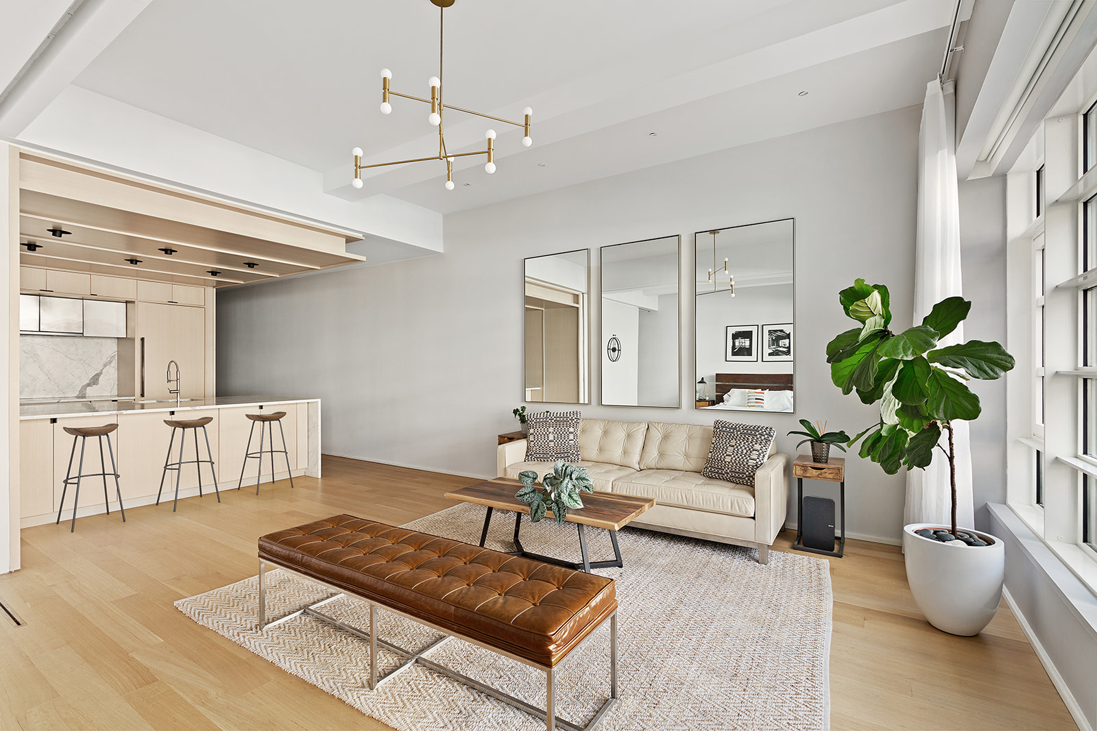 318 West 52nd Street, Unit 3N Manhattan, NY 10019 - Photo 3 of 9 a living room with furniture and a potted plant