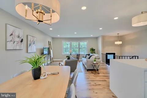 a living room with furniture flowerpot and a chandelier