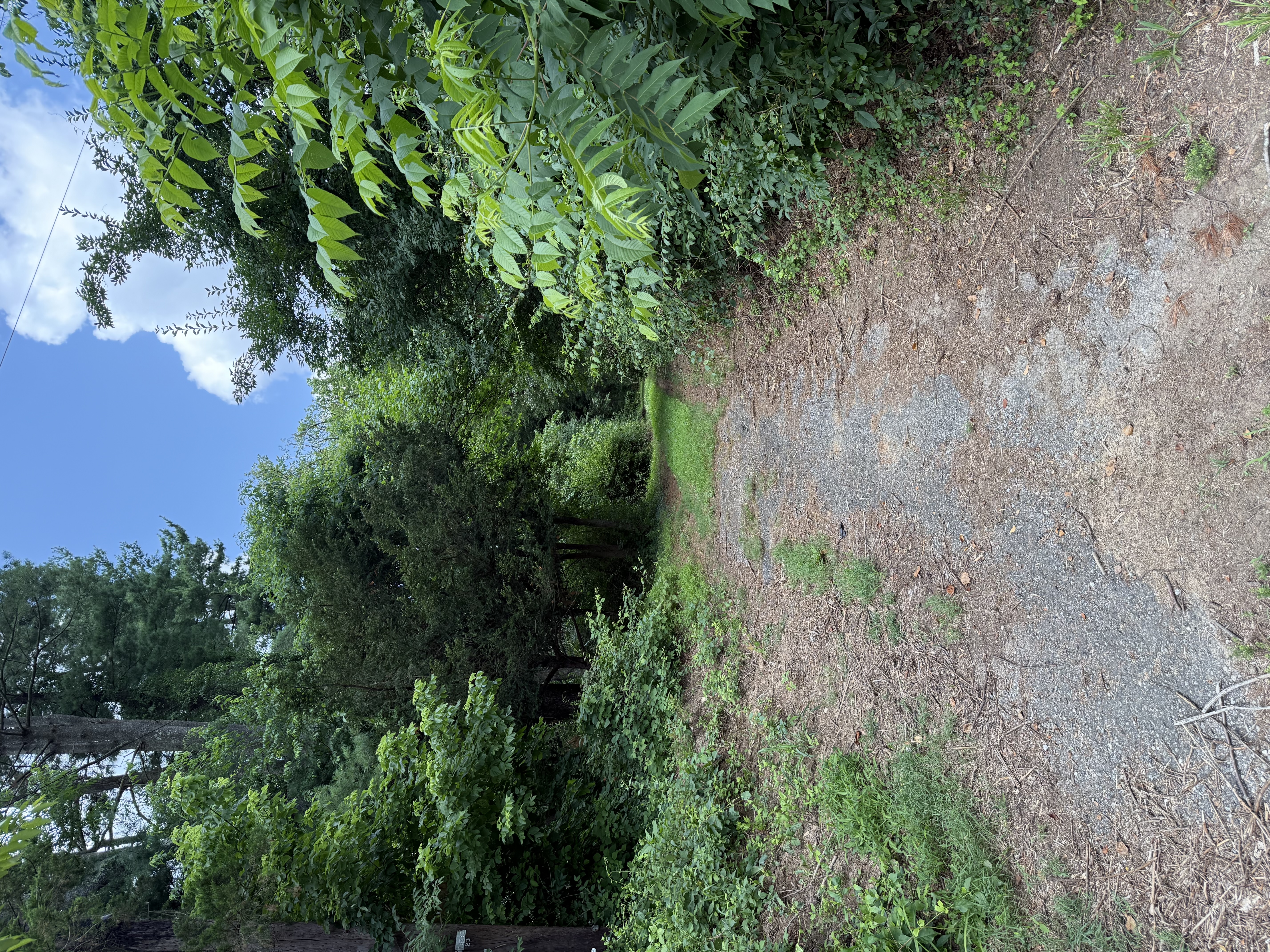 6888 Haviland Mill Road Clarksville, MD 21029 - Photo 2 of 3