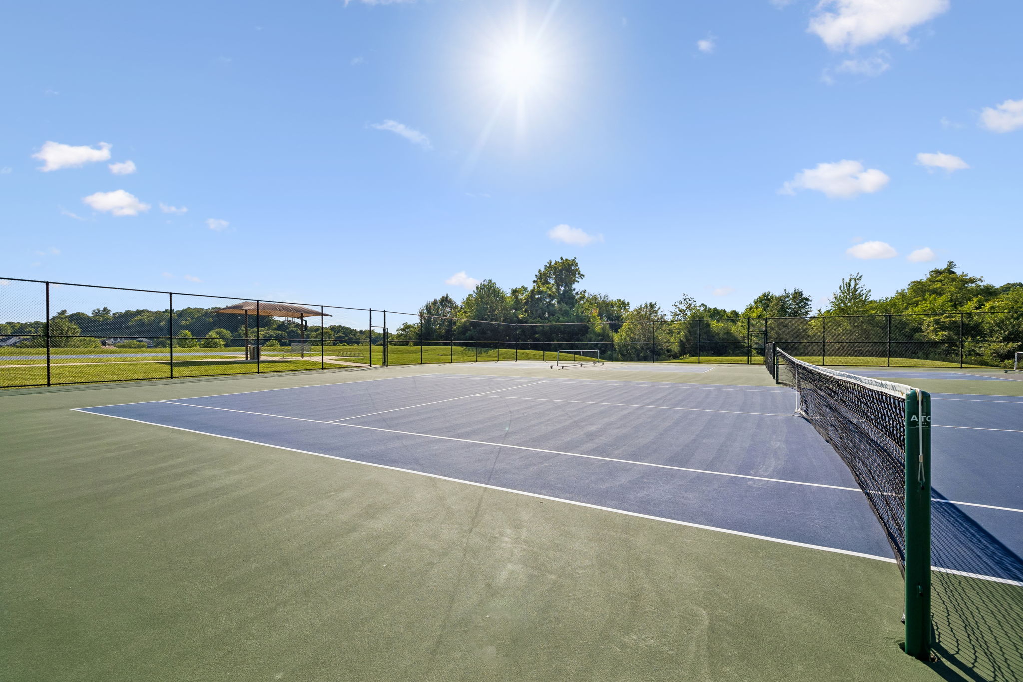 6732 Falls Ridge Lane College Grove, TN 37046 - Photo 83 of 87