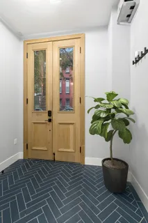 a living room with a potted plant