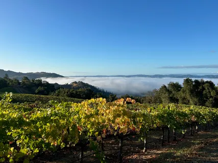 $1,795,000 | 31920 Pine Mountain Road, Cloverdale, CA 95425