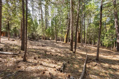 a view of outdoor space with trees