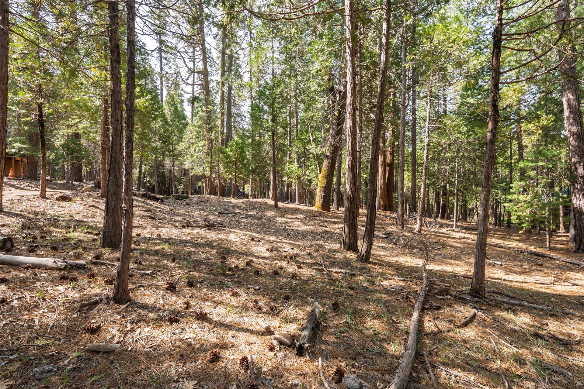 0 Koon Hollar Wawona, CA 95389 - Photo 17 of 31 a view of outdoor space with trees