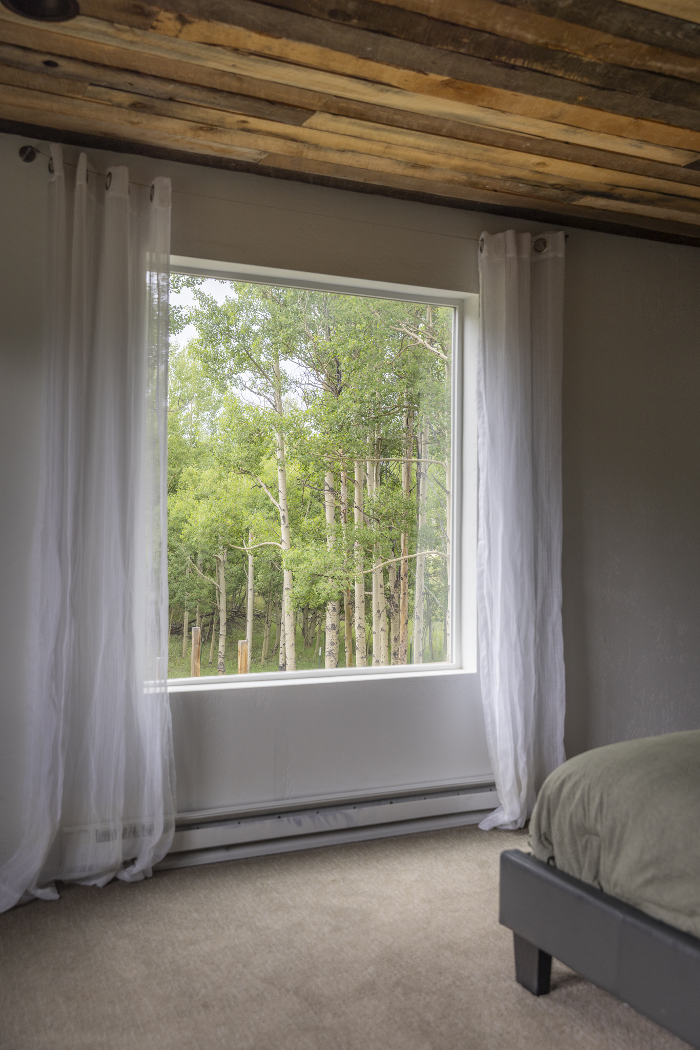 133 Gold Run Road Alma, CO 80420 - Photo 20 of 46 a living room with a bed and a window
