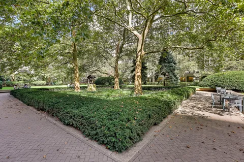 a view of a park with large trees