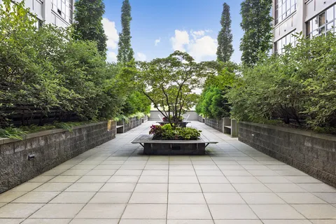 a view of outdoor space with lots of trees