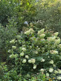 $2,795,000 | 5344 Falmouth Road, Bethesda, MD 20816