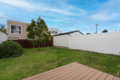 a view of a backyard with plants and large tree