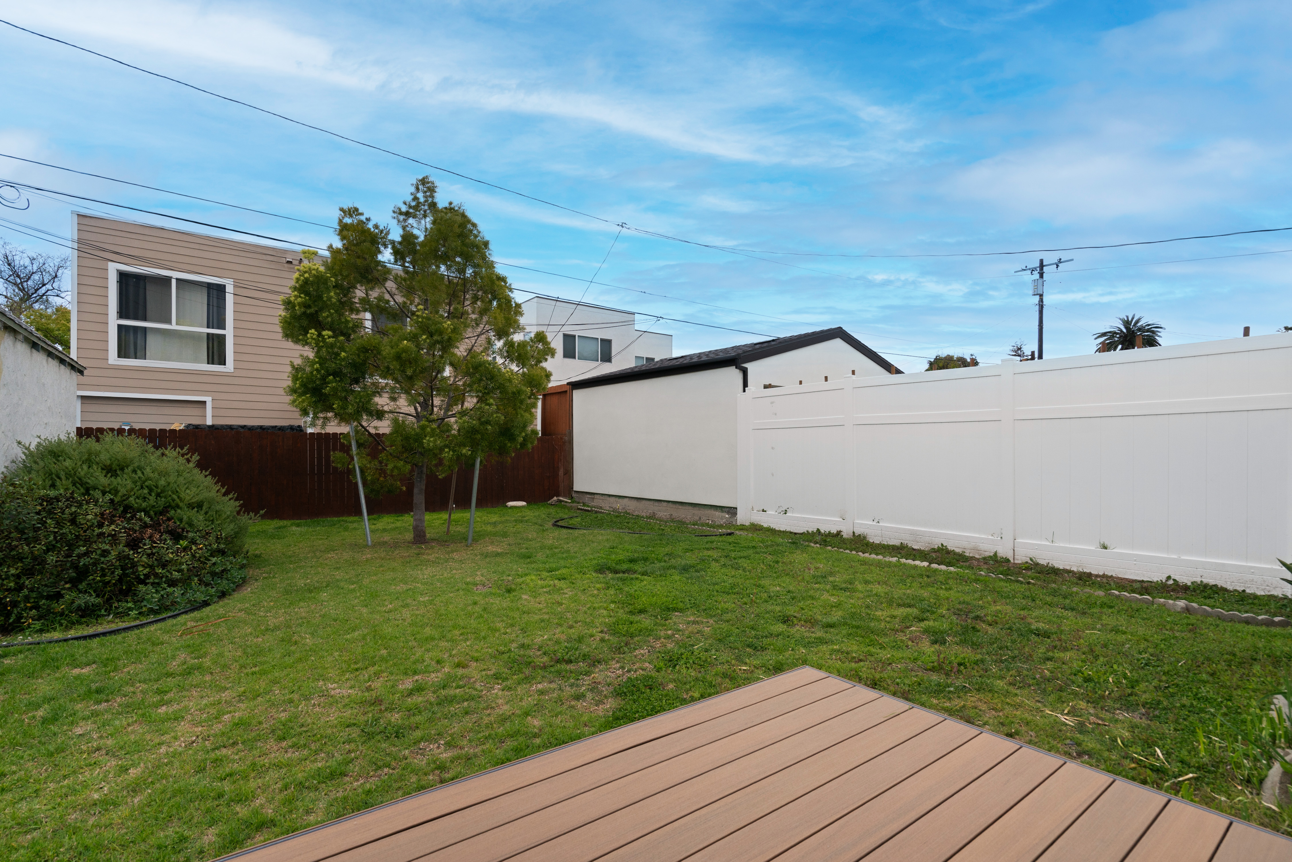 8832 Horner Street Los Angeles, CA 90035 - Photo 23 of 24 a view of a backyard with plants and large tree