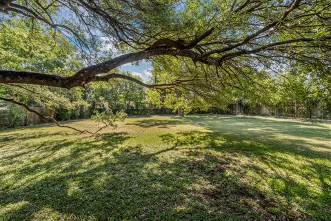 a view of yard with green space