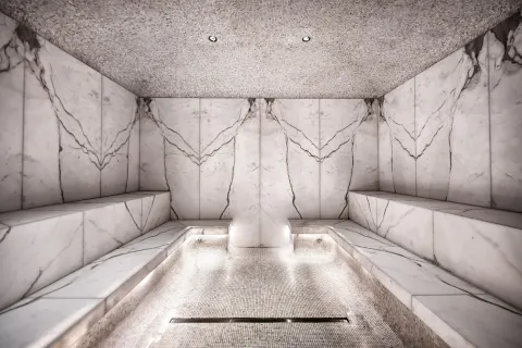 a living room with furniture and a swimming pool